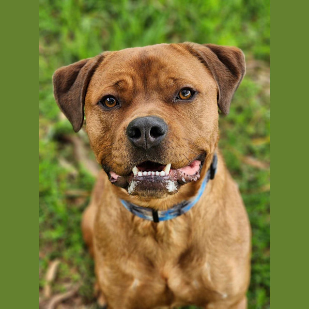 Photo of 🏉 Travis 5073 🏉