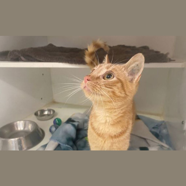 Photo of Mildred