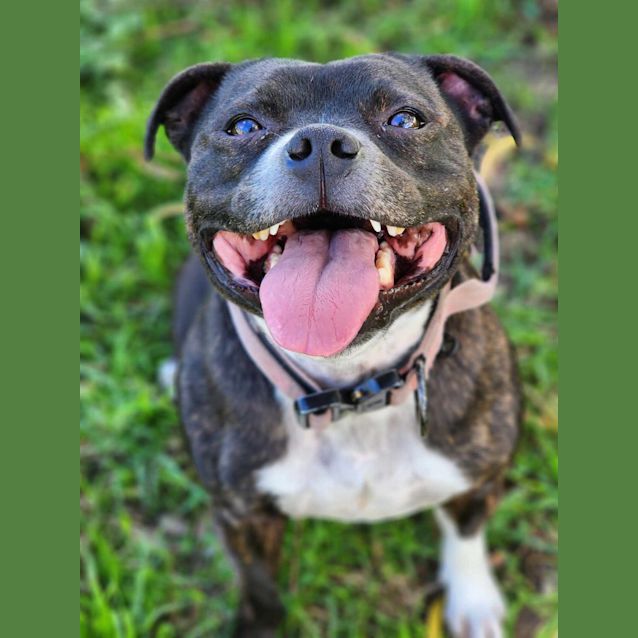 Photo of 🛴 Kobe 5108 🛴