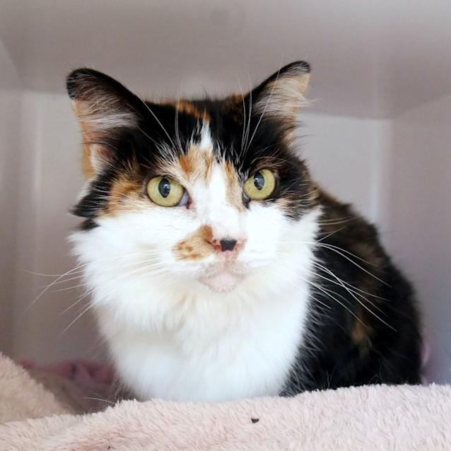 Photo of Poppy Sta012418