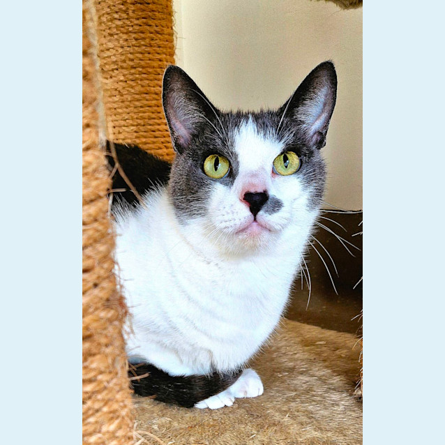 Photo of C1280 Ticky