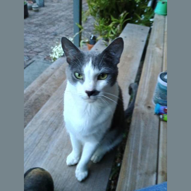 Photo of C1280 Ticky