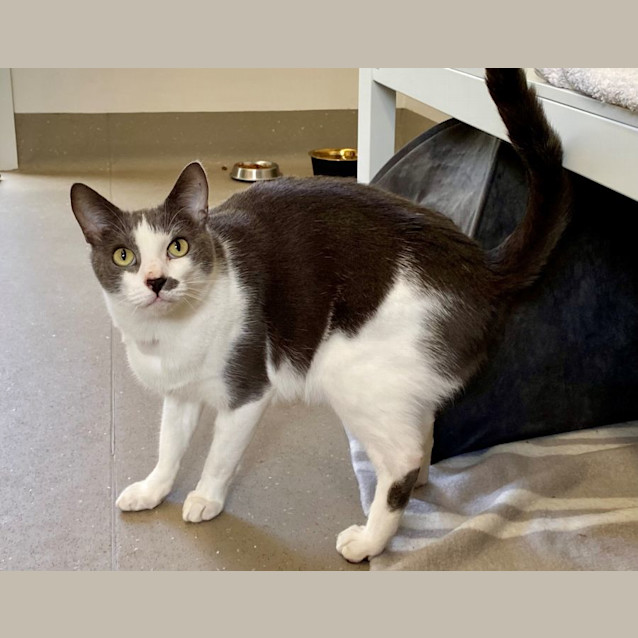 Photo of C1280 Ticky