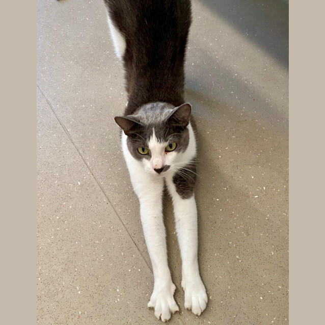 Photo of C1280 Ticky