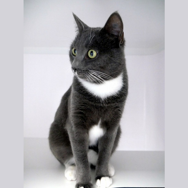 Photo of Tuna Sta012365