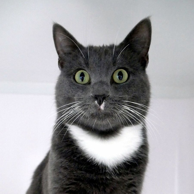 Photo of Tuna Sta012365