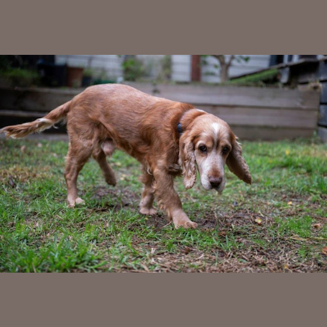 Photo of Stevie Elphinstone