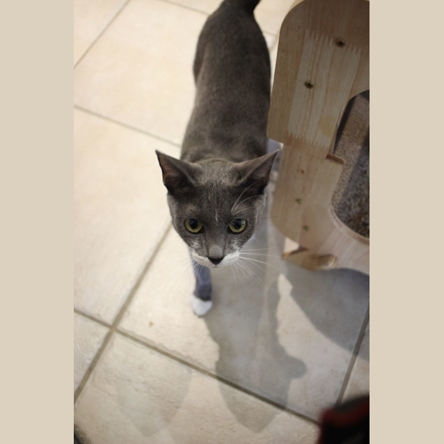 Photo of Billie (Mumma)