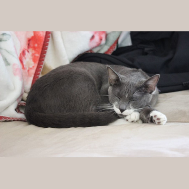 Photo of Billie (Mumma)