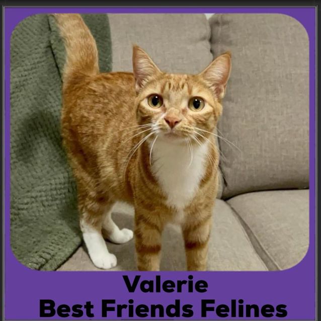Photo of Valerie