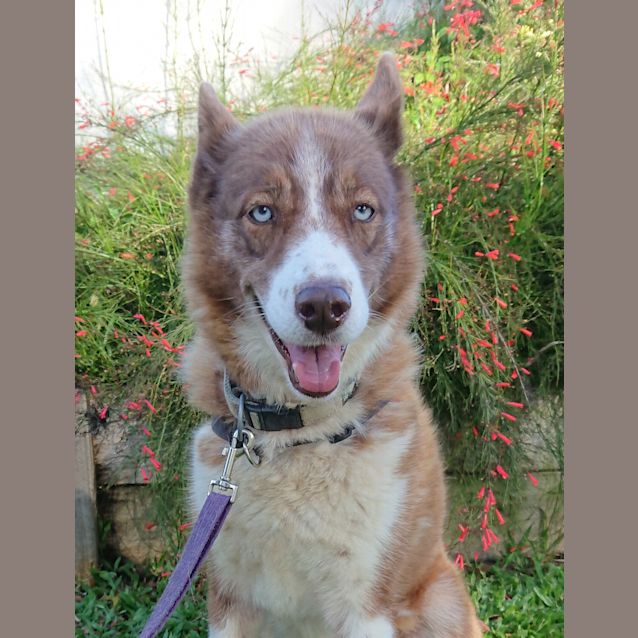 Photo of Missy