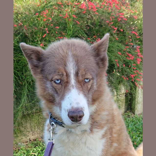 Photo of Missy