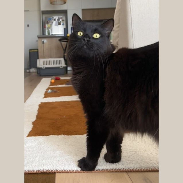 Photo of Aurora