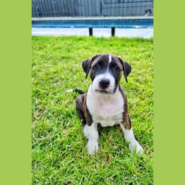 Photo of Lyric
