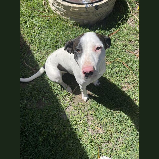 Photo of Pinky 
