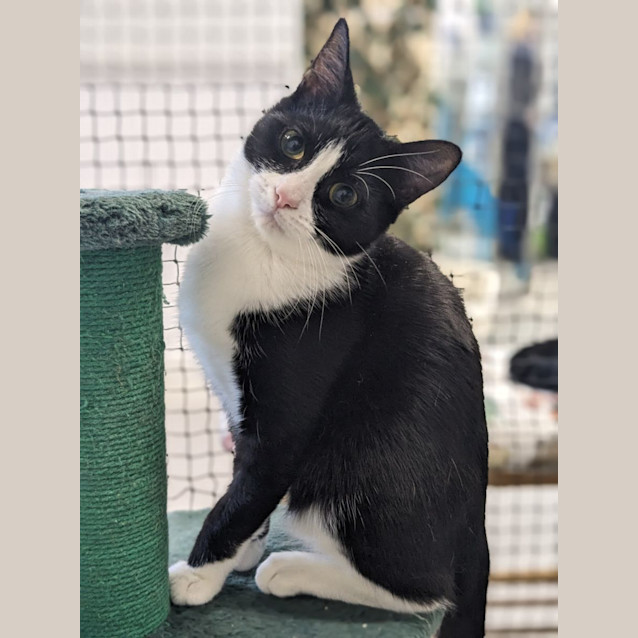 Photo of 🖼 Denver 5067 🖼