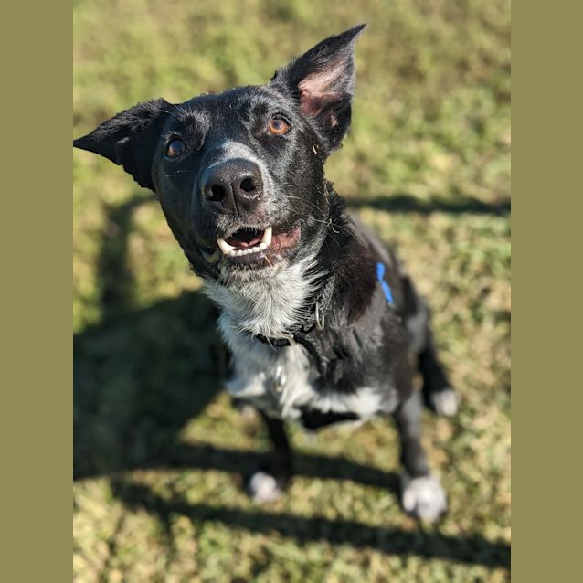 Photo of Cooper
