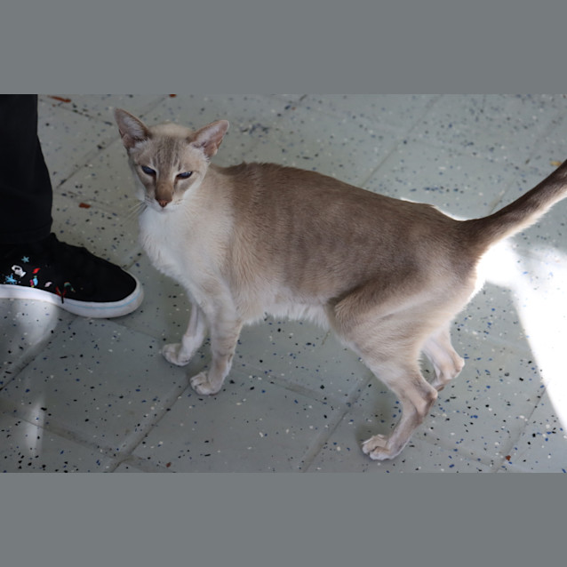 Photo of Prince