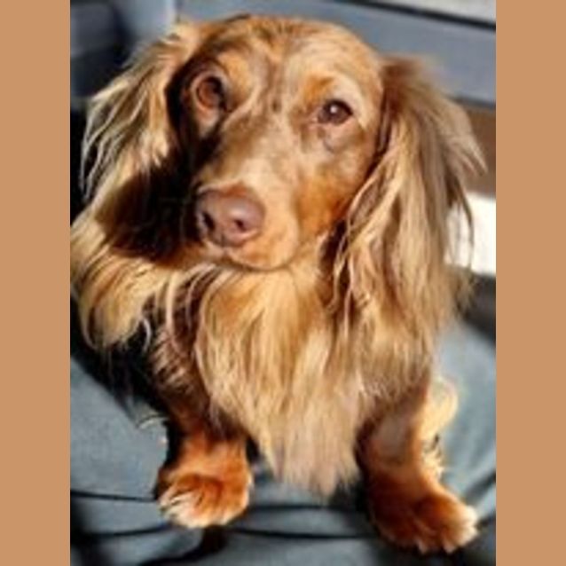 Photo of Louis