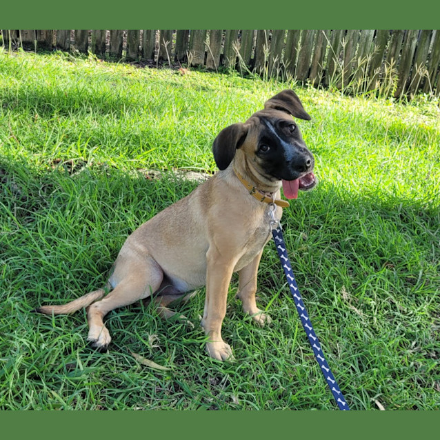 Photo of Caspia (Tk1)