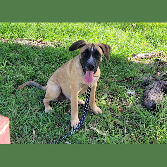 Photo of Caspia (Tk1)