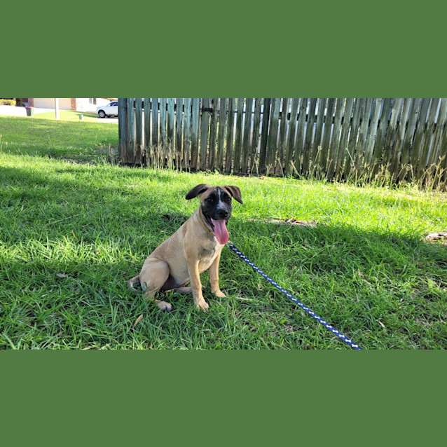 Photo of Caspia (Tk1)