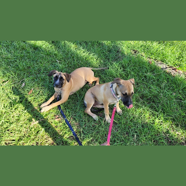 Photo of Caspia (Tk1)