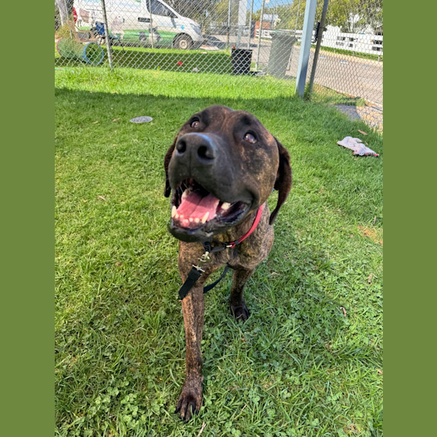 Photo of Wesson