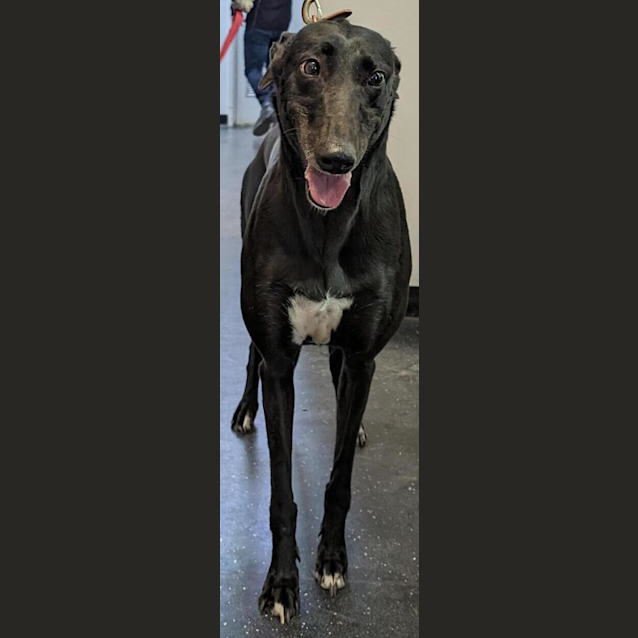 Photo of Winnie