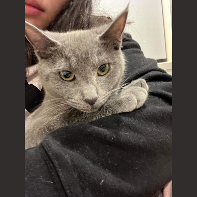 Photo of Bellatrix (Trixie!)