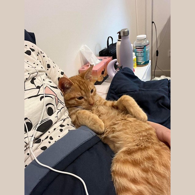 Photo of Fred (Freddie!) 