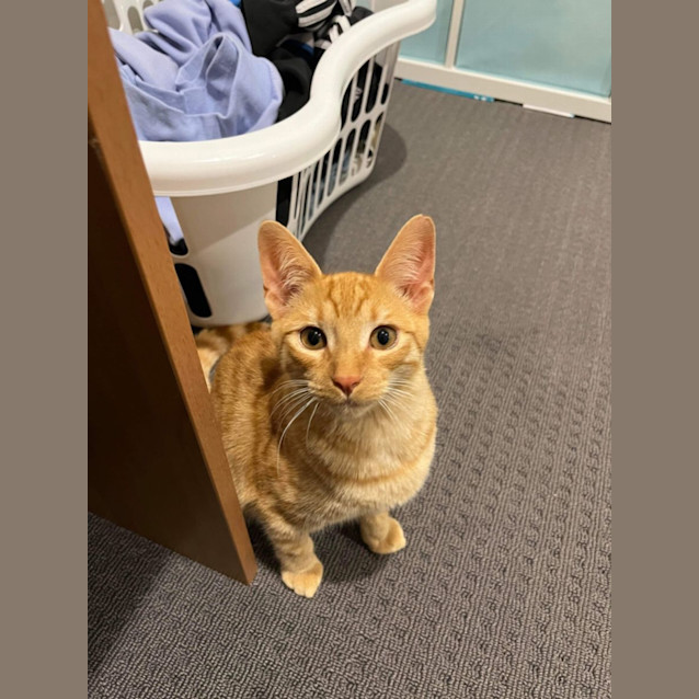 Photo of Fred (Freddie!) 