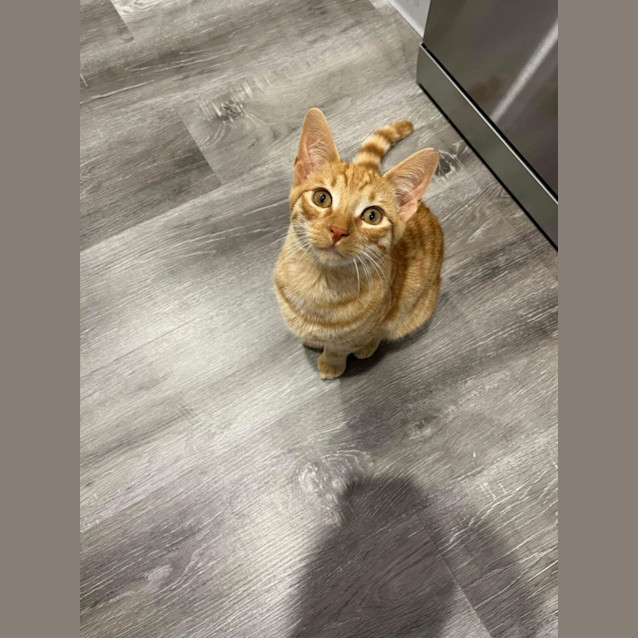 Photo of Fred (Freddie!) 