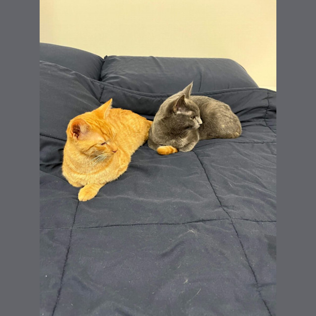 Photo of Fred (Freddie!) 