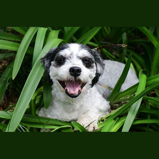 Photo of Candy