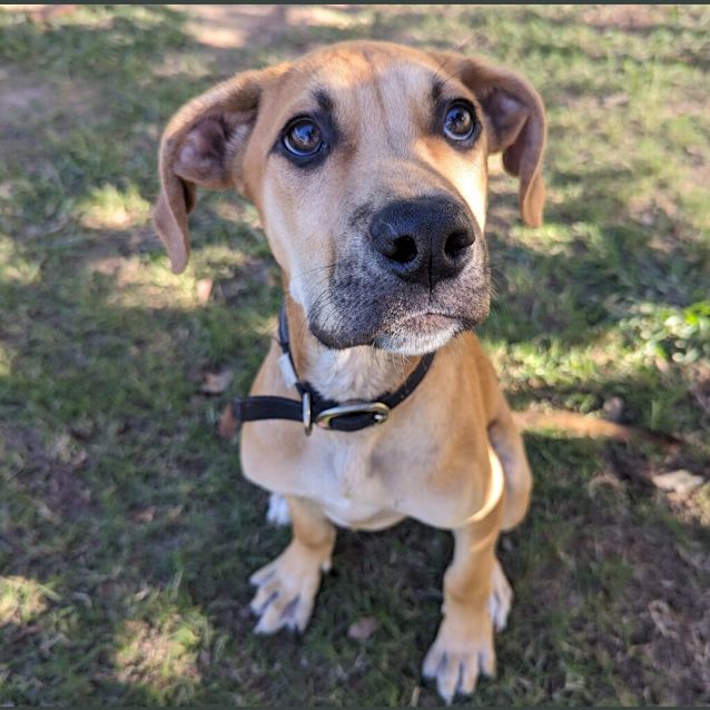 Photo of Cash