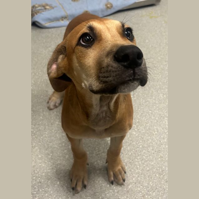 Photo of Cash