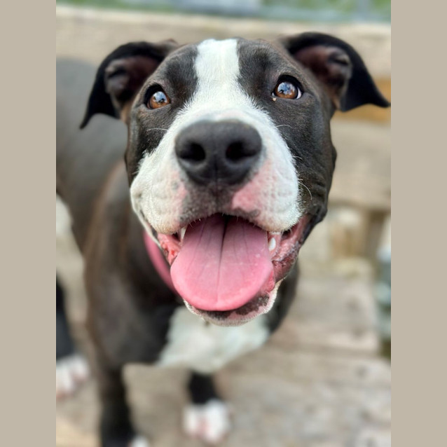 Photo of Roxi