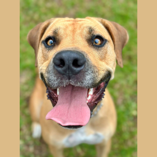 Photo of Rosie