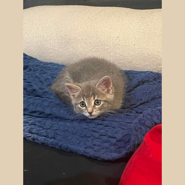 Photo of Minnie
