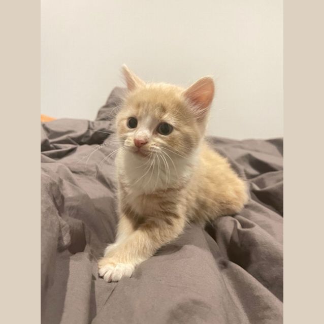Photo of Dababy