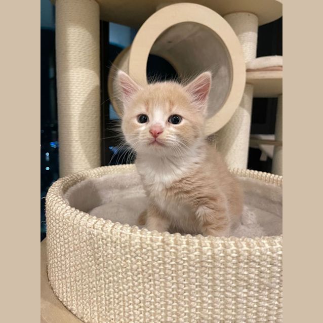 Photo of Dababy