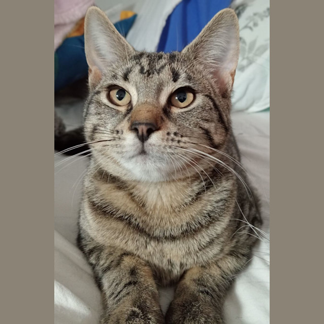 Photo of Mr Matthew Snugglebutt