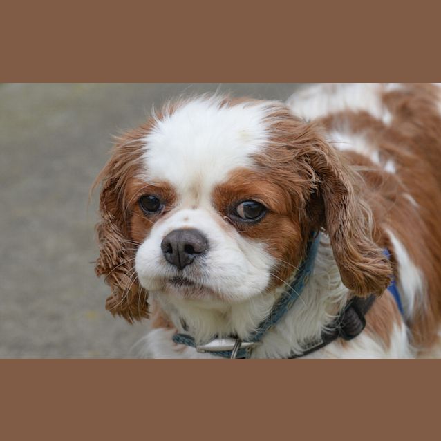Photo of Susie