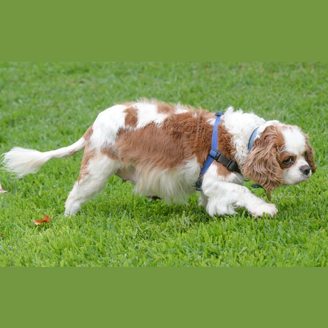 Photo of Susie