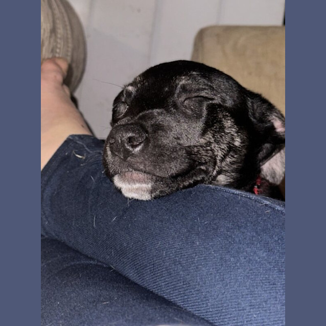 Photo of Beverley Plume