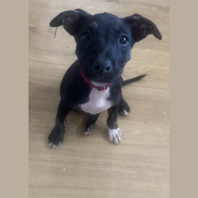 Photo of Beverley Plume