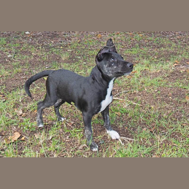 Photo of Beverley Plume