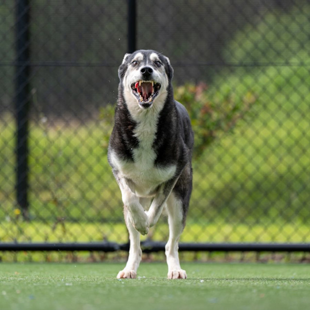 Photo of Derek Imp 292