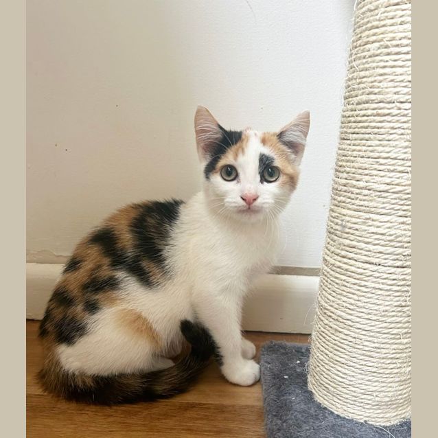 Photo of Delilah ❤️